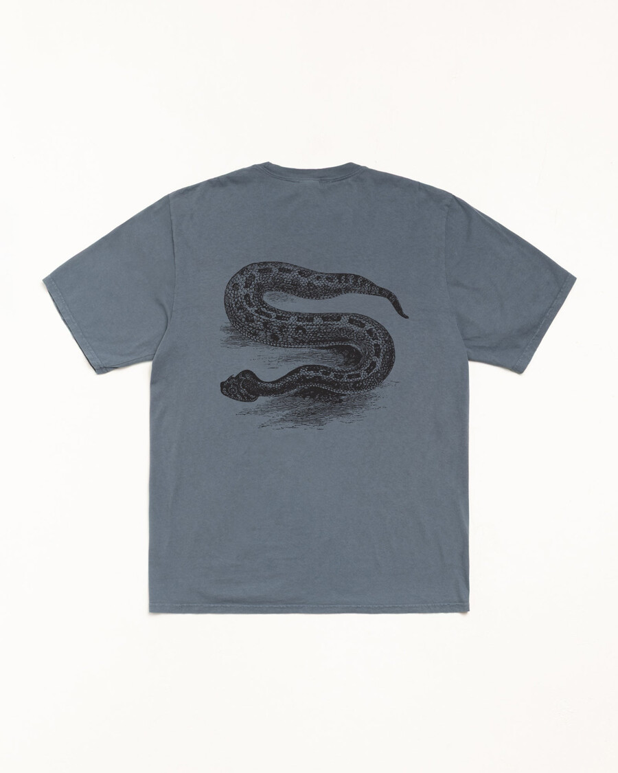 pigmentno barvan serpent tee