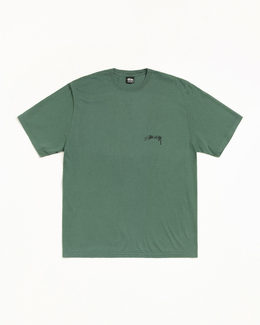 pigmentno barvan serpent tee