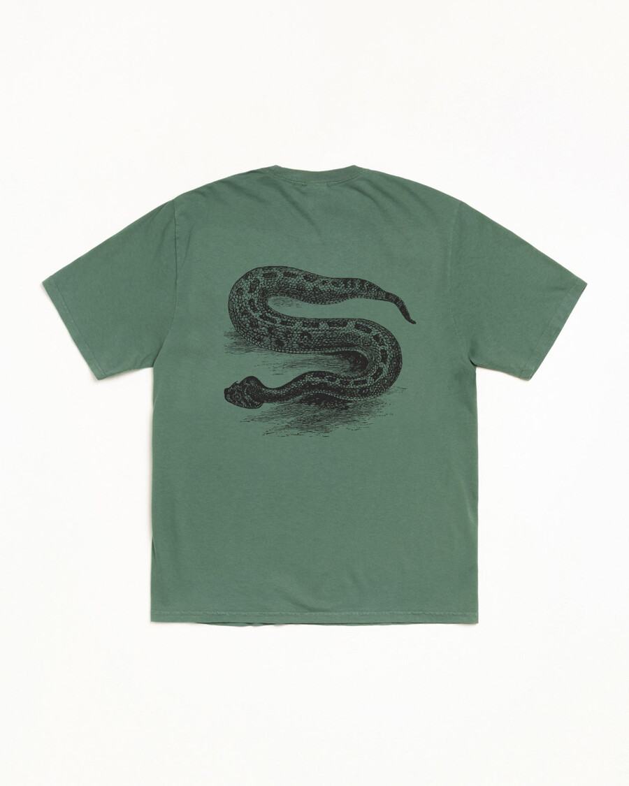 pigmentno barvan serpent tee